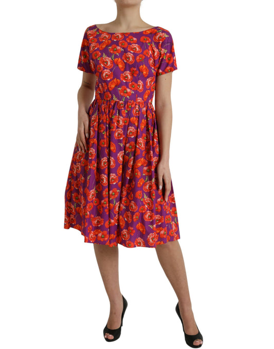 Dolce & Gabbana Multicolor Floral Cotton A-line Knee Length Dress