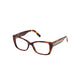 Swarovski Brown Plastic Frames