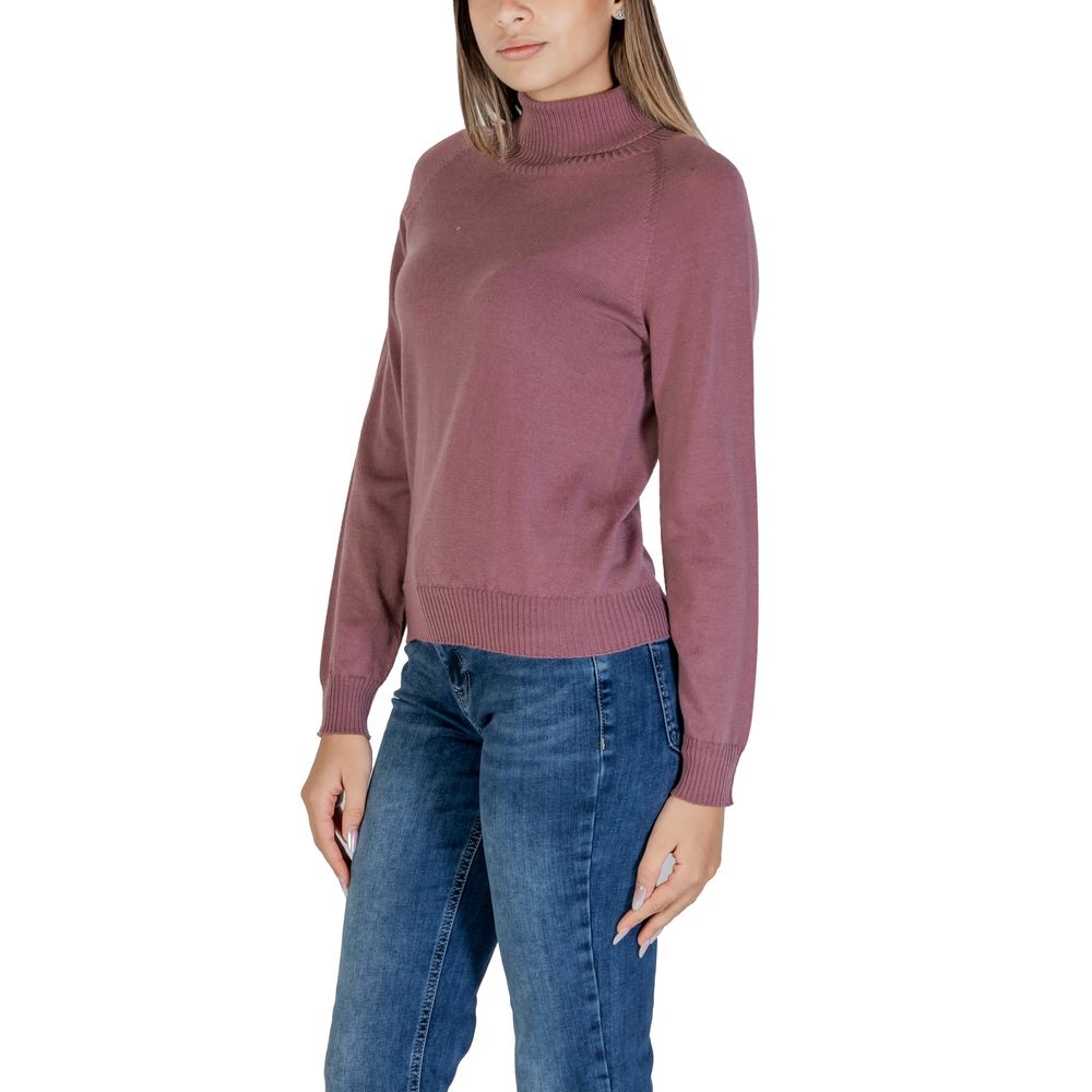 Sandro Ferrone Pink Merino Sweater