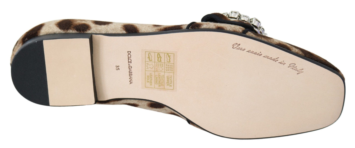 Dolce & Gabbana Leopard Print Crystal Embellished Loafers